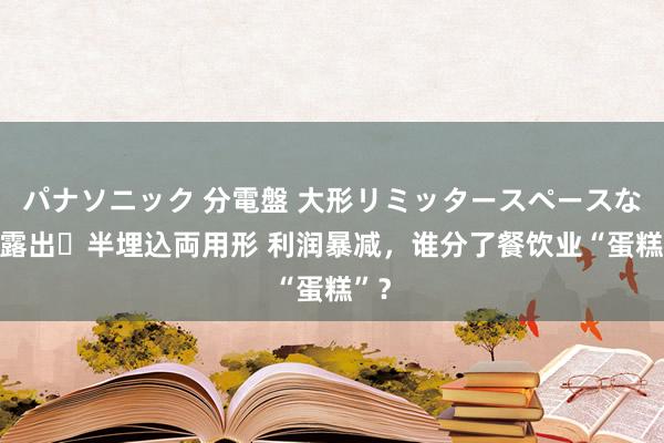 パナソニック 分電盤 大形リミッタースペースなし 露出・半埋込両用形 利润暴减，谁分了餐饮业“蛋糕”？