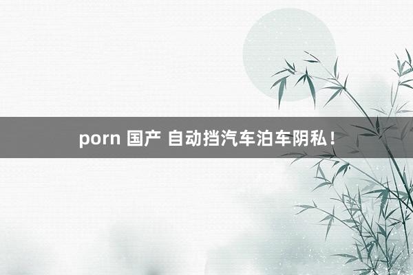 porn 国产 自动挡汽车泊车阴私！