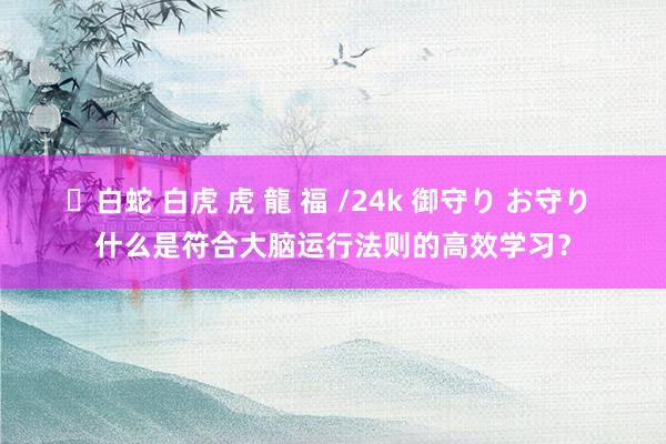 ✨白蛇 白虎 虎 龍 福 /24k 御守り お守り 什么是符合大脑运行法则的高效学习？