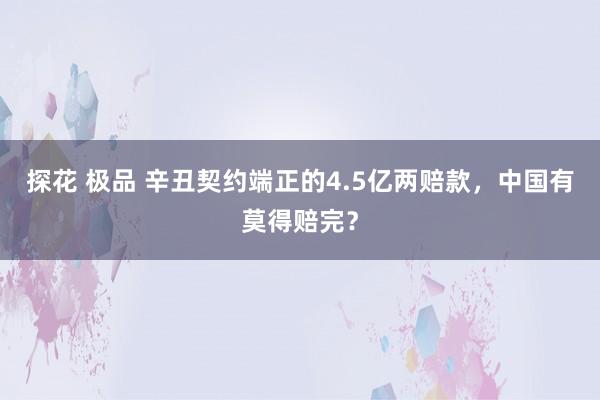 探花 极品 辛丑契约端正的4.5亿两赔款，中国有莫得赔完？