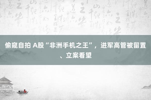 偷窥自拍 A股“非洲手机之王”，进军高管被留置、立案看望