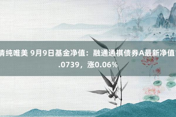 清纯唯美 9月9日基金净值：融通通祺债券A最新净值1.0739，涨0.06%