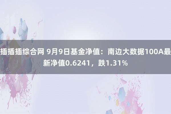 插插插综合网 9月9日基金净值：南边大数据100A最新净值0.6241，跌1.31%