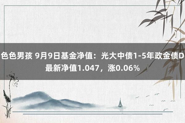 色色男孩 9月9日基金净值：光大中债1-5年政金债D最新净值1.047，涨0.06%