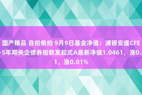 国产精品 自拍偷拍 9月9日基金净值：浦银安盛CFETS0-5年期央企债券指数发起式A最新净值1.0461，涨0.01%