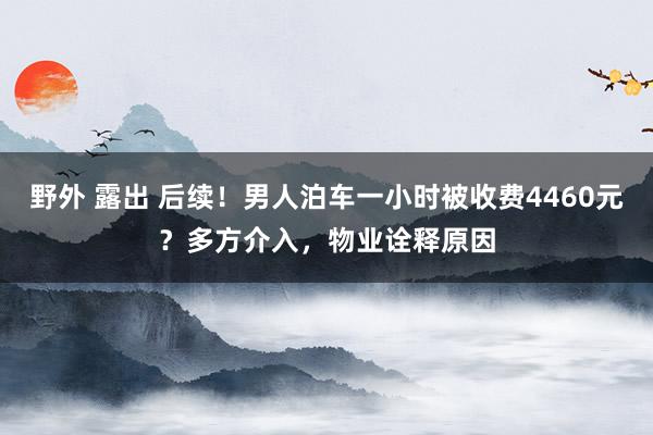 野外 露出 后续！男人泊车一小时被收费4460元？多方介入，物业诠释原因