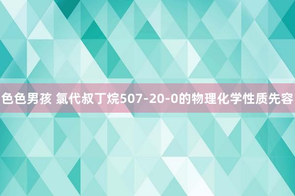 色色男孩 氯代叔丁烷507-20-0的物理化学性质先容