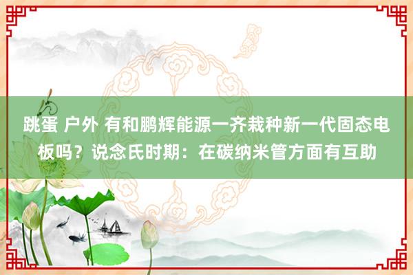 跳蛋 户外 有和鹏辉能源一齐栽种新一代固态电板吗？说念氏时期：在碳纳米管方面有互助