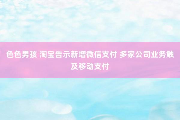 色色男孩 淘宝告示新增微信支付 多家公司业务触及移动支付