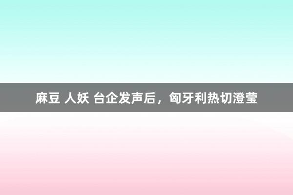 麻豆 人妖 台企发声后，匈牙利热切澄莹