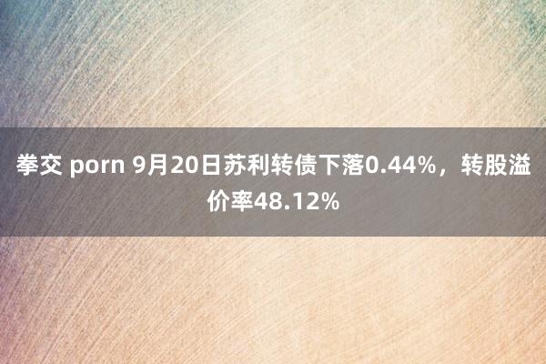 拳交 porn 9月20日苏利转债下落0.44%，转股溢价率48.12%