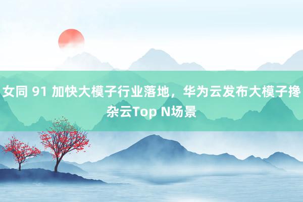 女同 91 加快大模子行业落地，华为云发布大模子搀杂云Top N场景