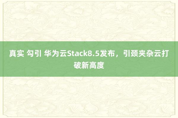 真实 勾引 华为云Stack8.5发布，引颈夹杂云打破新高度