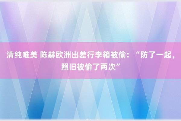 清纯唯美 陈赫欧洲出差行李箱被偷：“防了一起，照旧被偷了两次”