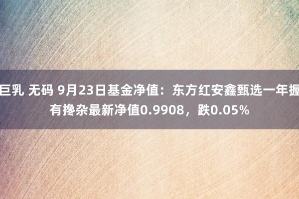 巨乳 无码 9月23日基金净值：东方红安鑫甄选一年握有搀杂最新净值0.9908，跌0.05%