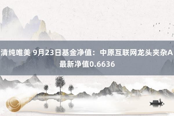 清纯唯美 9月23日基金净值：中原互联网龙头夹杂A最新净值0.6636