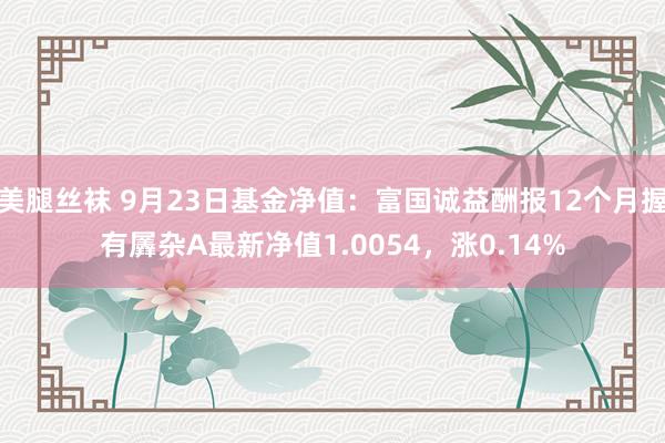 美腿丝袜 9月23日基金净值：富国诚益酬报12个月握有羼杂A最新净值1.0054，涨0.14%