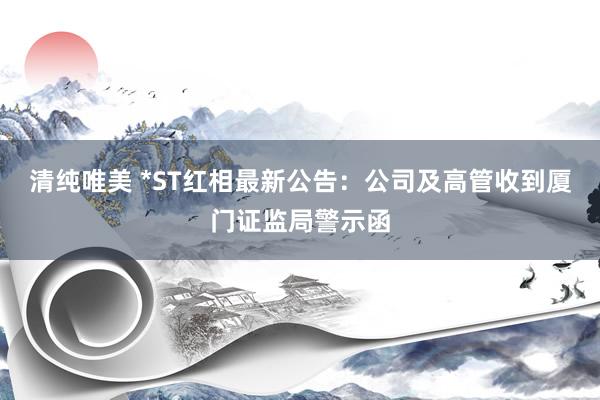 清纯唯美 *ST红相最新公告：公司及高管收到厦门证监局警示函