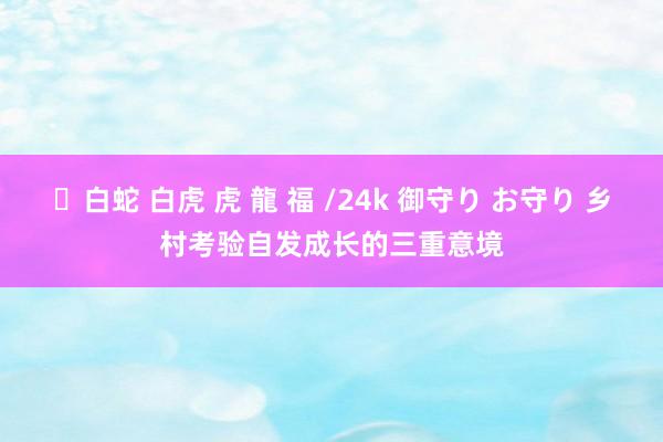 ✨白蛇 白虎 虎 龍 福 /24k 御守り お守り 乡村考验自发成长的三重意境