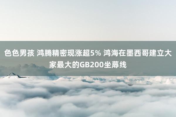 色色男孩 鸿腾精密现涨超5% 鸿海在墨西哥建立大家最大的GB200坐蓐线