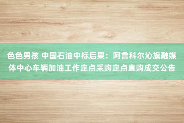 色色男孩 中国石油中标后果：阿鲁科尔沁旗融媒体中心车辆加油工作定点采购定点直购成交公告