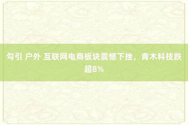 勾引 户外 互联网电商板块震憾下挫，青木科技跌超8%