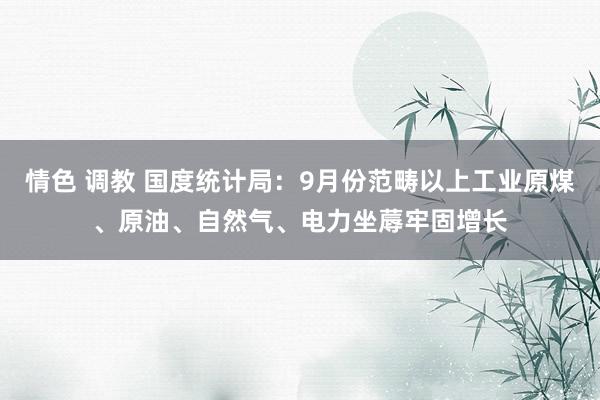 情色 调教 国度统计局：9月份范畴以上工业原煤、原油、自然气、电力坐蓐牢固增长