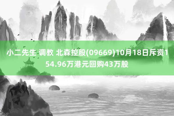 小二先生 调教 北森控股(09669)10月18日斥资154.96万港元回购43万股