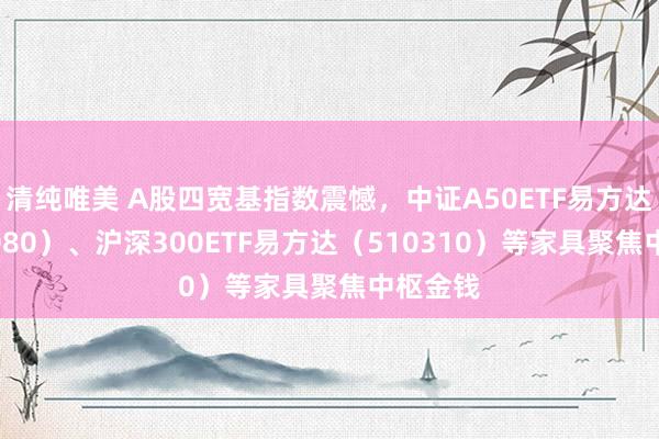 清纯唯美 A股四宽基指数震憾，中证A50ETF易方达（563080）、沪深300ETF易方达（510310）等家具聚焦中枢金钱