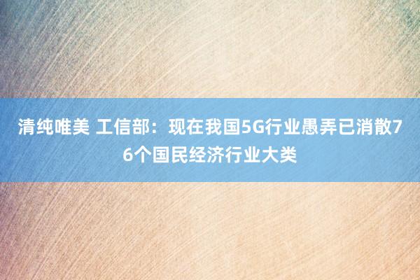 清纯唯美 工信部：现在我国5G行业愚弄已消散76个国民经济行业大类