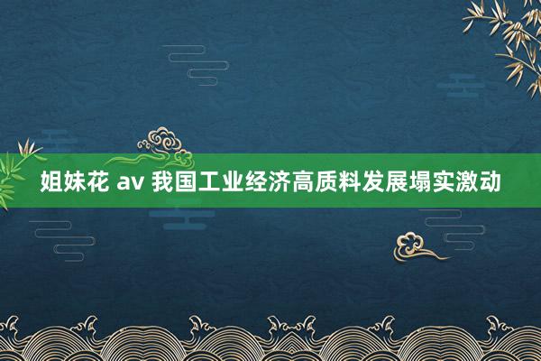 姐妹花 av 我国工业经济高质料发展塌实激动