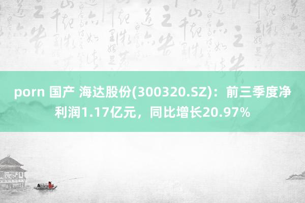 porn 国产 海达股份(300320.SZ)：前三季度净利润1.17亿元，同比增长20.97%