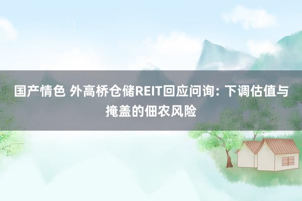 国产情色 外高桥仓储REIT回应问询: 下调估值与掩盖的佃农风险