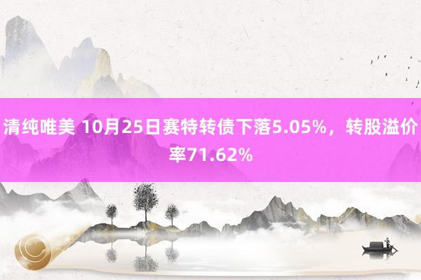 清纯唯美 10月25日赛特转债下落5.05%，转股溢价率71.62%