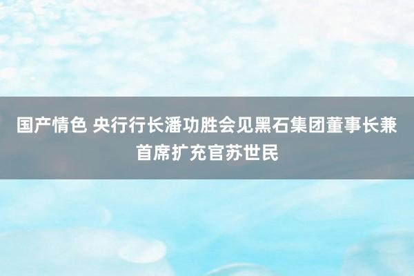 国产情色 央行行长潘功胜会见黑石集团董事长兼首席扩充官苏世民