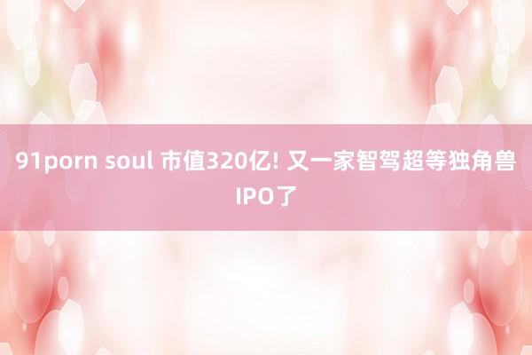 91porn soul 市值320亿! 又一家智驾超等独角兽IPO了