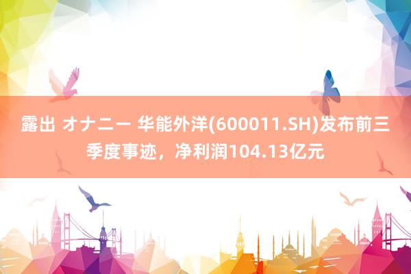 露出 オナニー 华能外洋(600011.SH)发布前三季度事迹，净利润104.13亿元