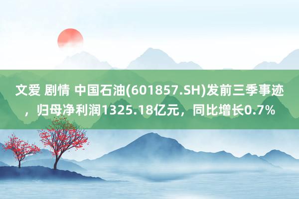 文爱 剧情 中国石油(601857.SH)发前三季事迹，归母净利润1325.18亿元，同比增长0.7%