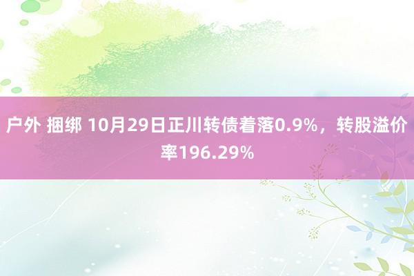 户外 捆绑 10月29日正川转债着落0.9%，转股溢价率196.29%