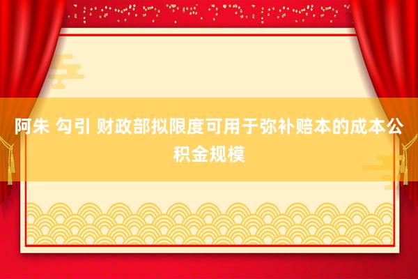 阿朱 勾引 财政部拟限度可用于弥补赔本的成本公积金规模