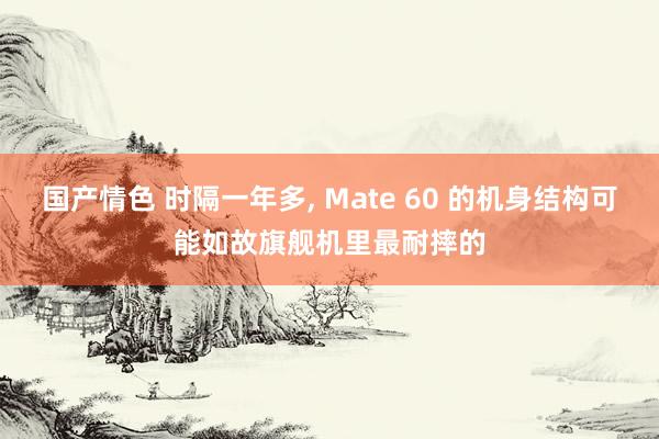 国产情色 时隔一年多， Mate 60 的机身结构可能如故旗舰机里最耐摔的