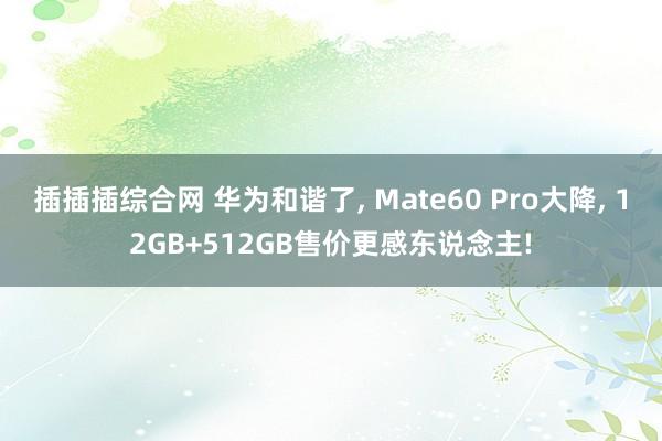 插插插综合网 华为和谐了， Mate60 Pro大降， 12GB+512GB售价更感东说念主!