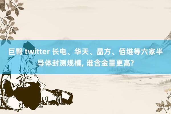 巨臀 twitter 长电、华天、晶方、佰维等六家半导体封测规模， 谁含金量更高?