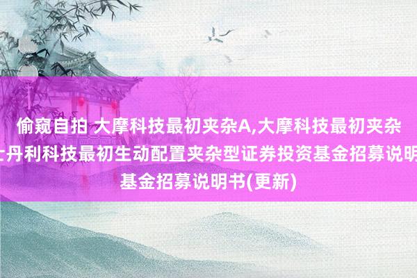 偷窥自拍 大摩科技最初夹杂A，大摩科技最初夹杂C: 摩根士丹利科技最初生动配置夹杂型证券投资基金招募说明书(更新)