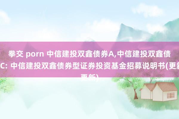 拳交 porn 中信建投双鑫债券A，中信建投双鑫债券C: 中信建投双鑫债券型证券投资基金招募说明书(更新)