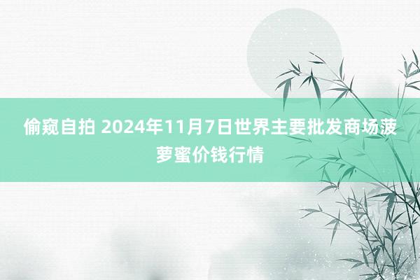 偷窥自拍 2024年11月7日世界主要批发商场菠萝蜜价钱行情