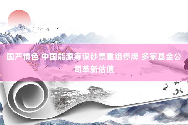 国产情色 中国能源筹谋钞票重组停牌 多家基金公司革新估值