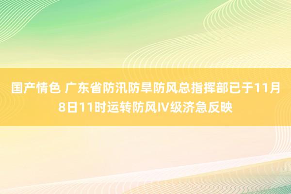 国产情色 广东省防汛防旱防风总指挥部已于11月8日11时运转防风Ⅳ级济急反映