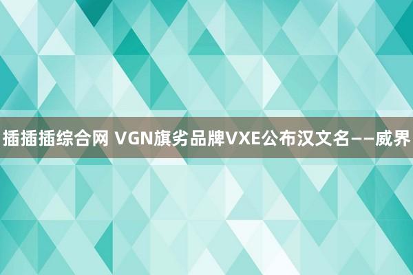 插插插综合网 VGN旗劣品牌VXE公布汉文名——威界