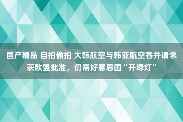 国产精品 自拍偷拍 大韩航空与韩亚航空吞并请求获欧盟批准，仍需好意思国“开绿灯”